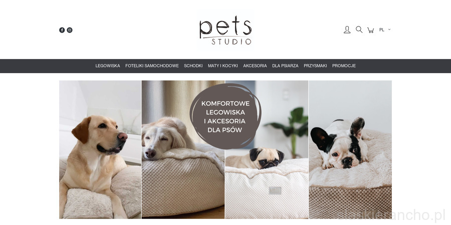 pets-studio